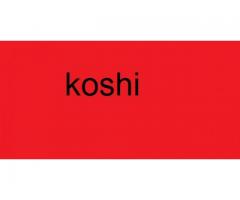 Koshi