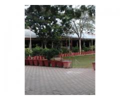 MINERVA GARDENS FUNCTION HALL