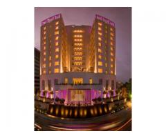 THE RAINTREE ANNA SALAI 